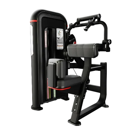 Triceps Extension INSPIRATION